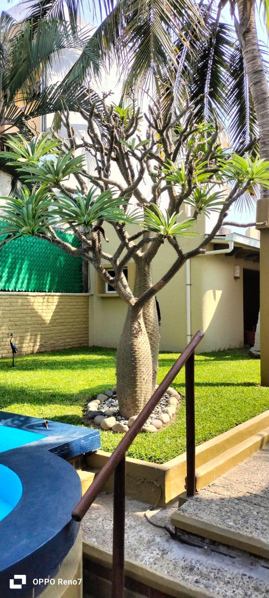 Villas Miramar Zihuatanejo Ngoại thất bức ảnh